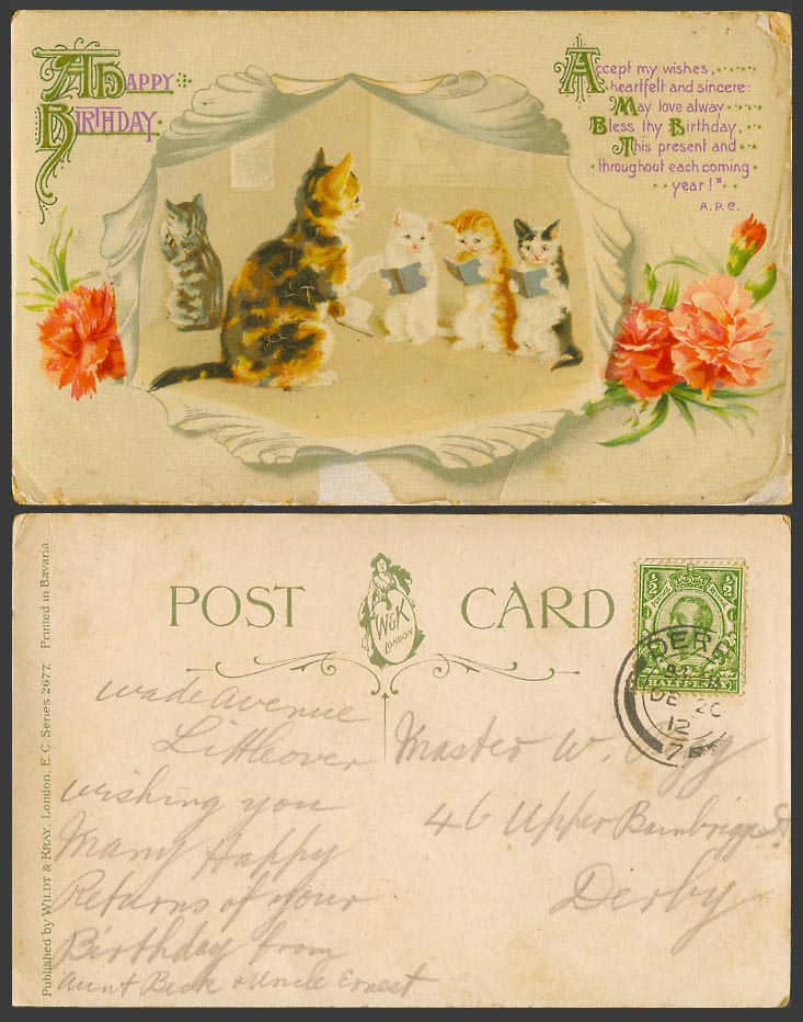 Cats Kittens, Books, School Corner Punishment A Happy Birthday 1912 Old Postcard