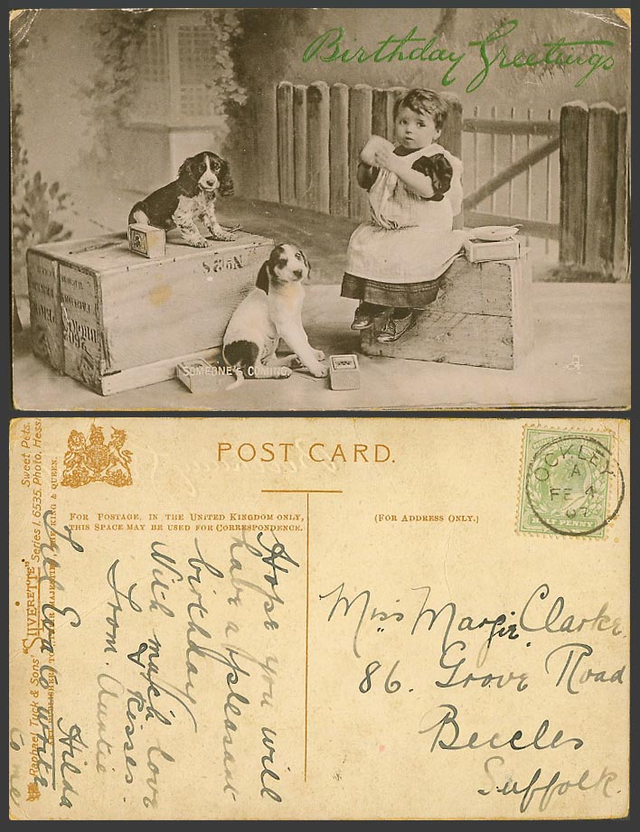 Dogs Puppies Dog Girl Mug Sweet Pets Birthday Greetings 1907 Old Tuck's Postcard