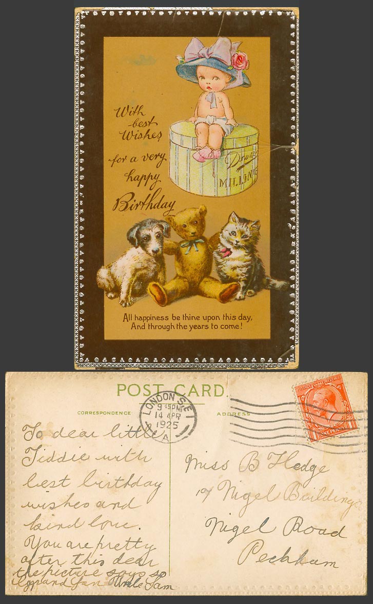Teddy Bear, Dog Puppy Cat Kitten Baby Girl Happy Birthday Wish 1825 Old Postcard