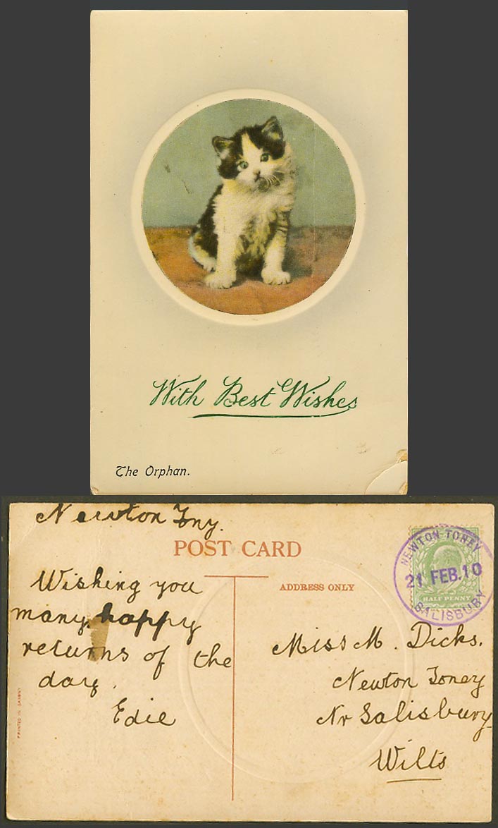Cat Kitten, The Orphan, Pet, With Best Wishes Greetings 1910 Old Colour Postcard