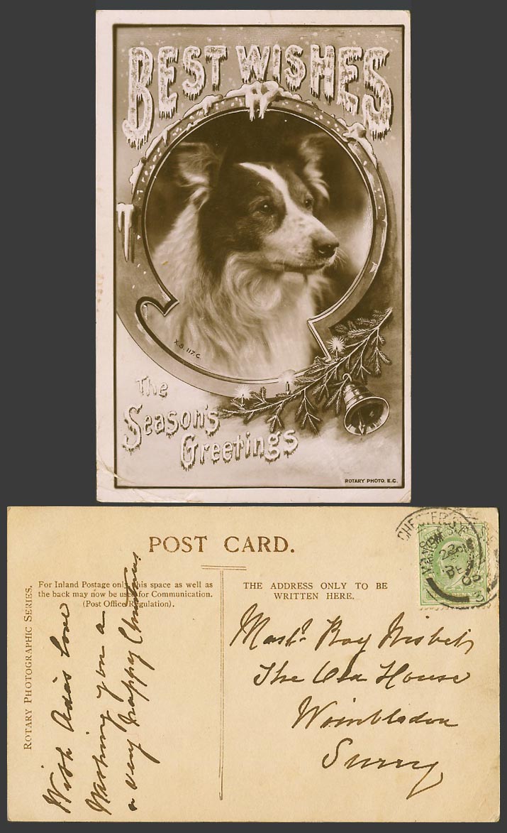 Dog Puppy Bell Best Wishes The Seasons Greetings 1903 Old Real Photo Postcard RP