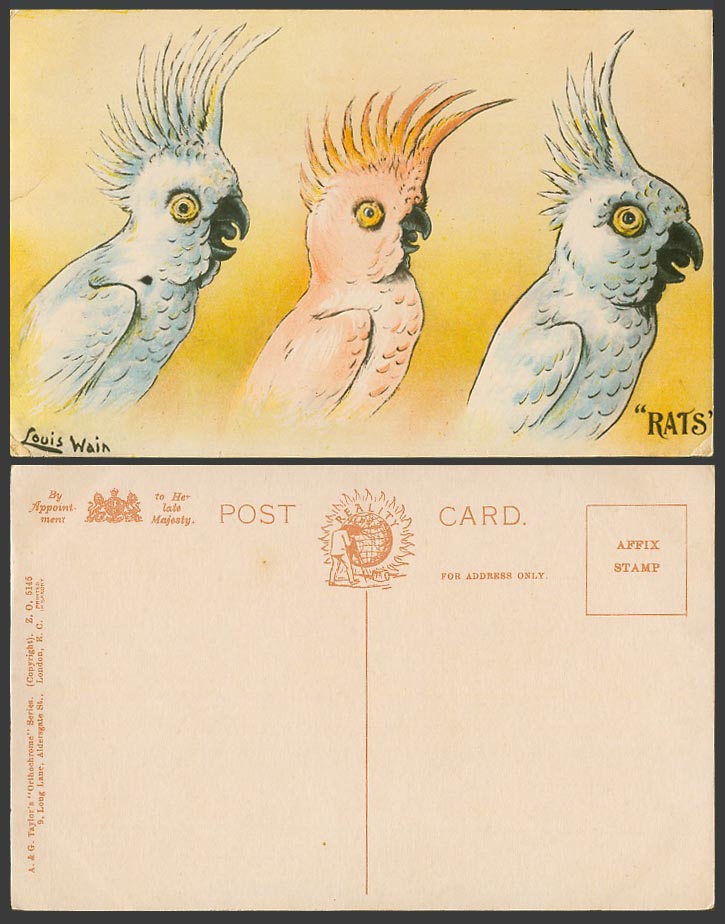 LOUIS WAIN Artist Signed, RATS, Cockatiel Parrot Parrots Bird Birds Old Postcard