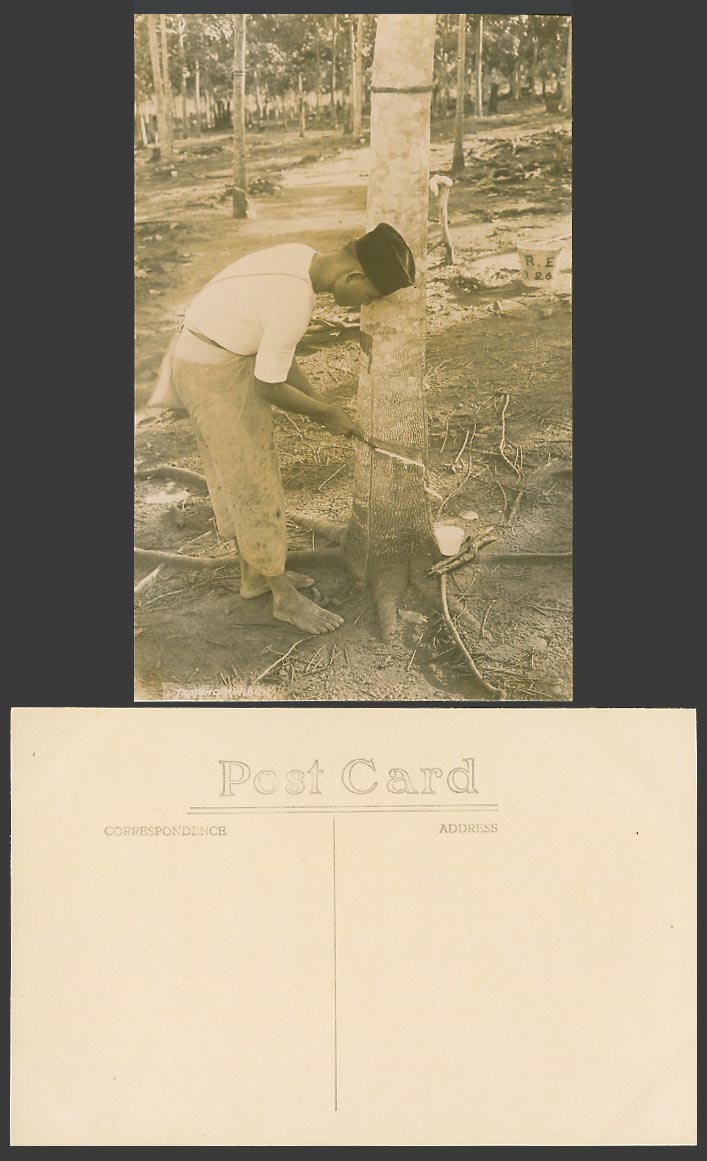 Singapore Old Real Photo Postcard Tapper Tapping Rubber Tree Bucket with R.E.026