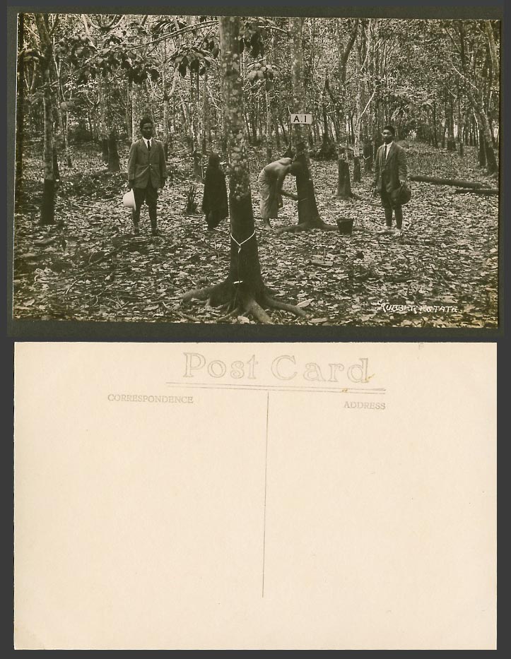 Singapore Old Real Photo Postcard Tapping Rubber Tapper, A.1 Tree, Dutch Method