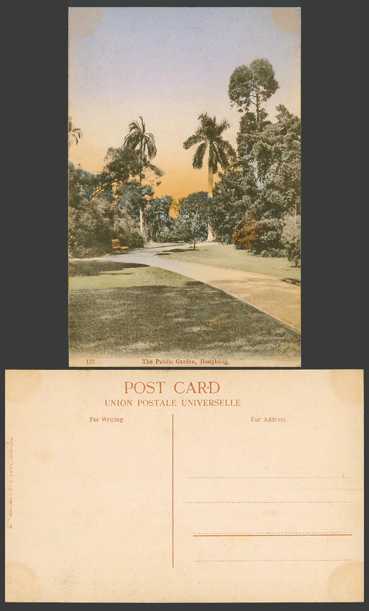 Hong Kong China Old Hand Tinted Postcard Public Garden Gardens Palm Trees Sunset