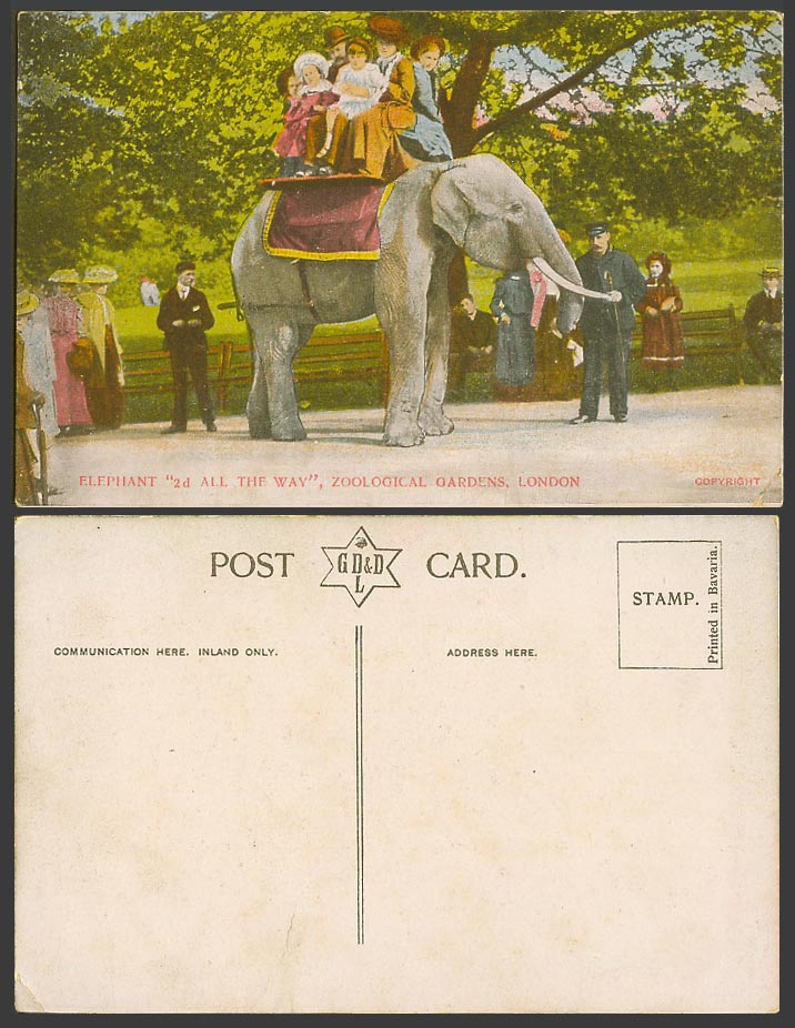 Elephant Ride, 2d All The Way, London Zoo Zoological Gardens Old Colour Postcard