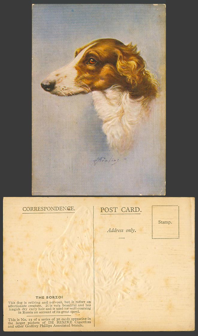 The Borzoi Dog Wolf-Coursing Russia DE RESZKE Cigarettes F. Aveline Old Postcard