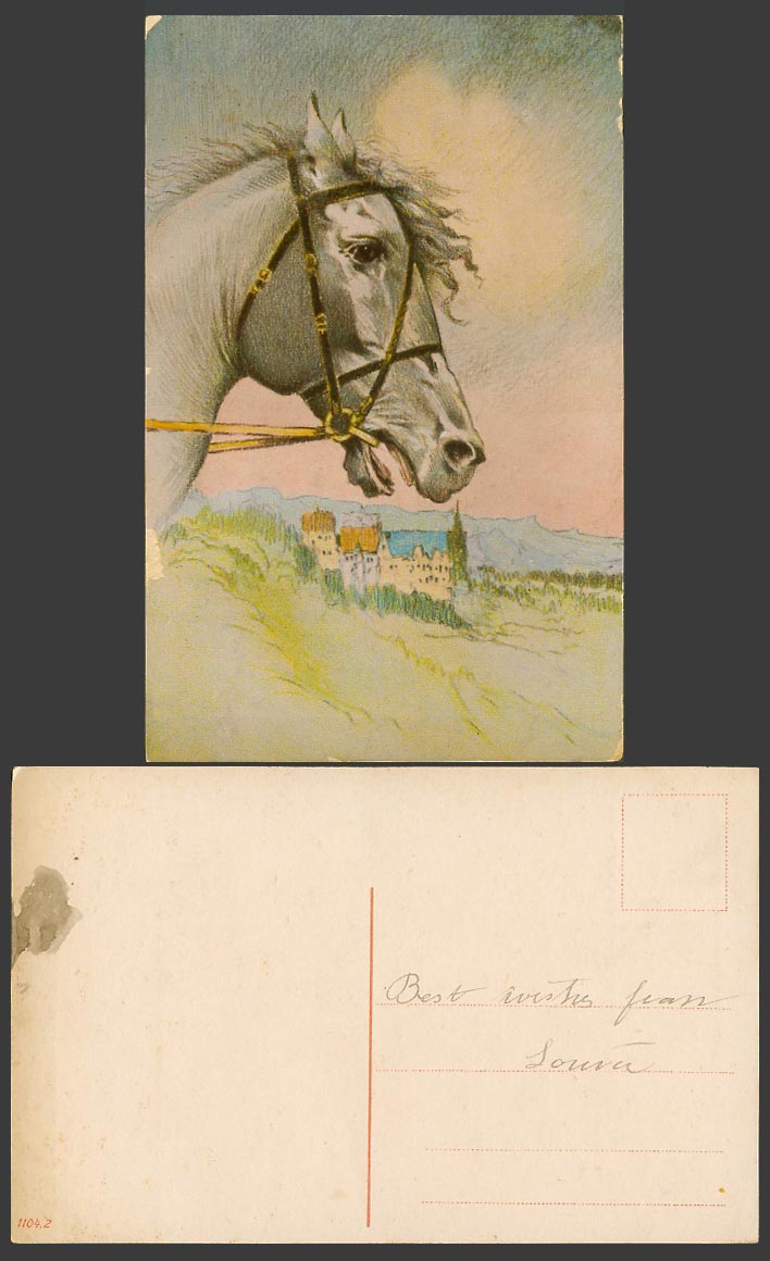 A Beautiful Horse Head Animal - Art Artist Drawn Old Colour Postcard 1104/2 Pony
