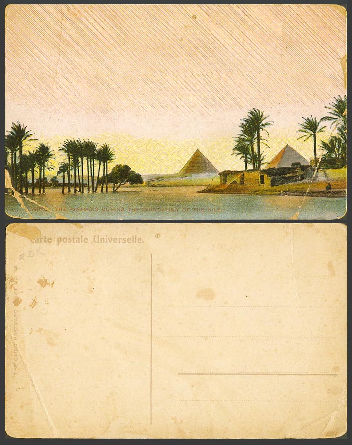 Egypt Old Postcard Cairo, Pyramids Giza During Inundation Flood Nile River Scene