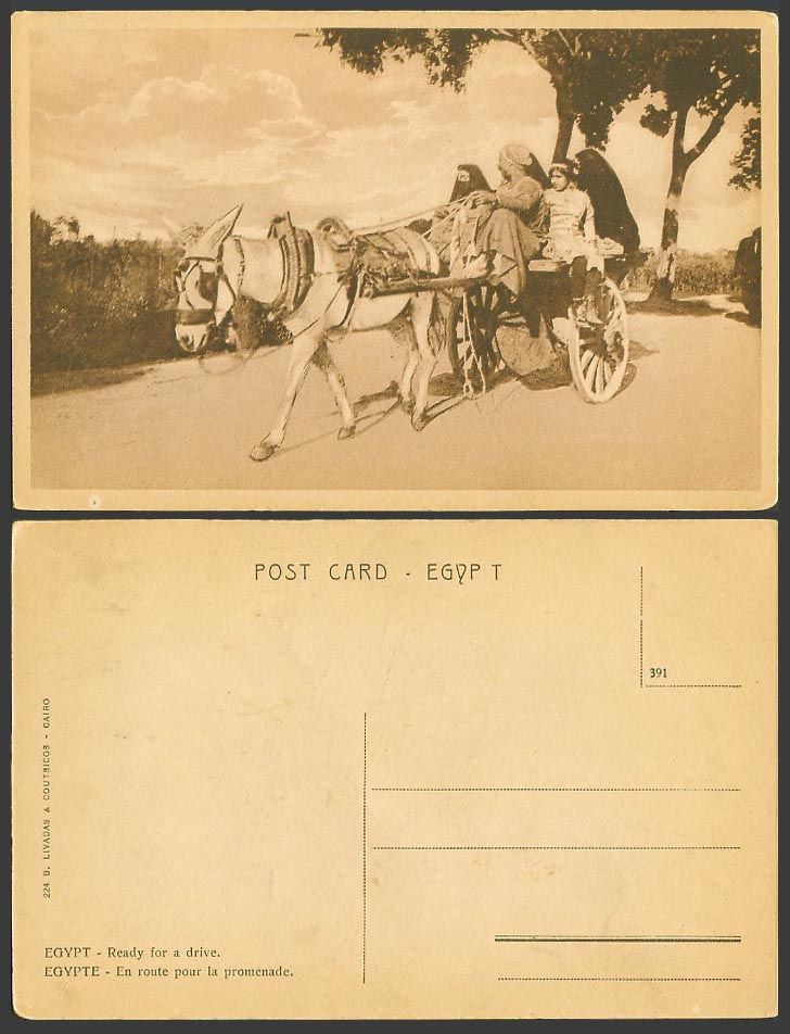 Egypt Old Postcard Cairo Donkey Cart Ready for a Drive la Promenade Veiled Women