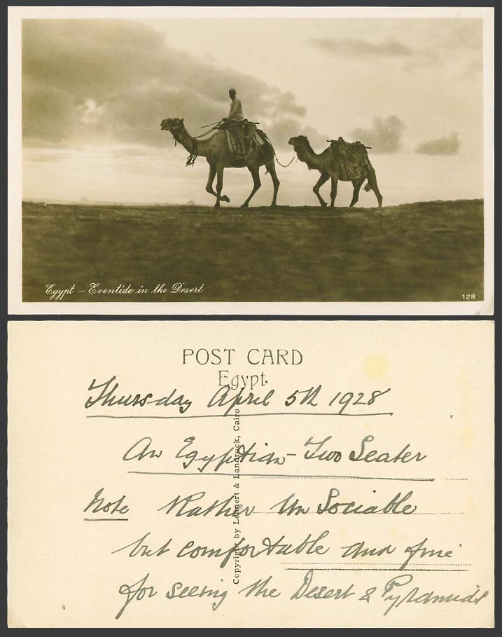 Egypt 1928 Old Photo Postcard Eventide in Desert Pyramid Giza Camels Camel Rider