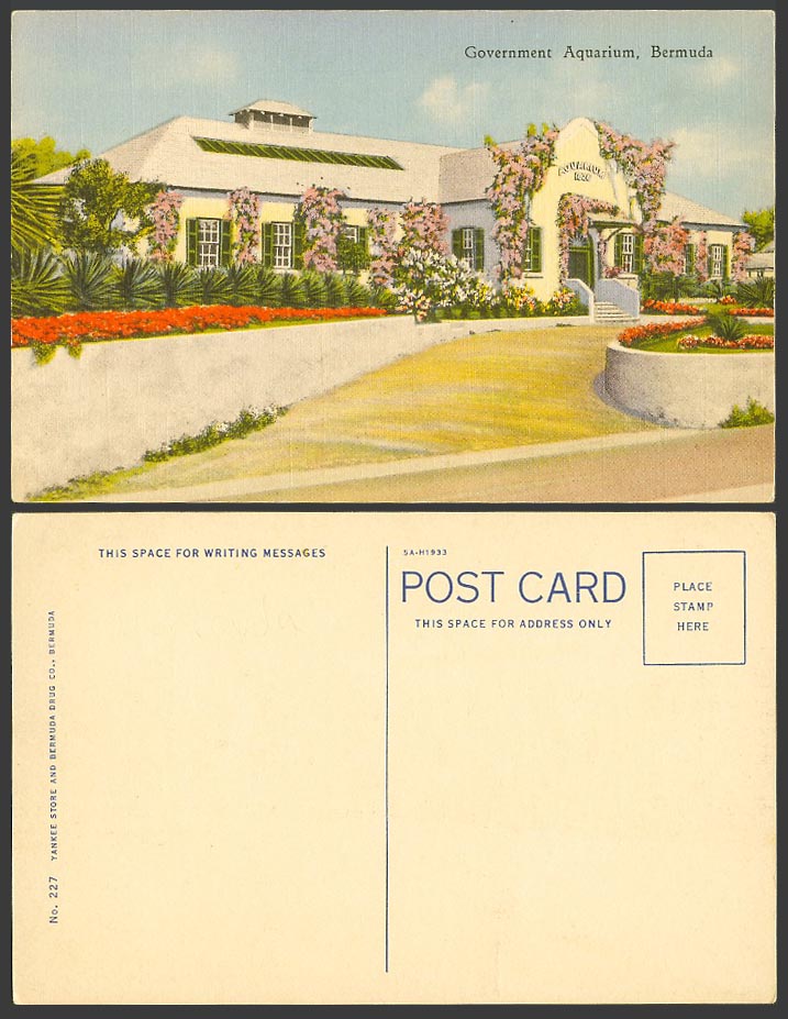 Bermuda Old Colour Postcard Government Aquarium 1826 Garden Flowers Yankee Store