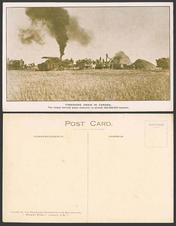 Canadian Old Postcard Threshing Grains in Canada - Wheat Harvesting 50M. Bushels
