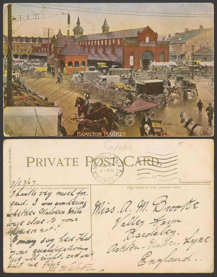 Canada 1907 Old Colour Postcard Hamilton Market Street Scene Horse Carts Ontario