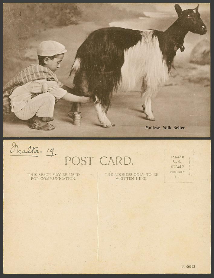 Malta 1919 Old Postcard Maltese Milk Seller Vendor Little Boy Milking Goat Sheep