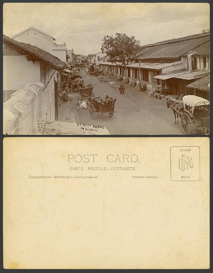 India Old Real Photo Postcard Mhow Street Scene Horse Cart Bullock Carts Animals