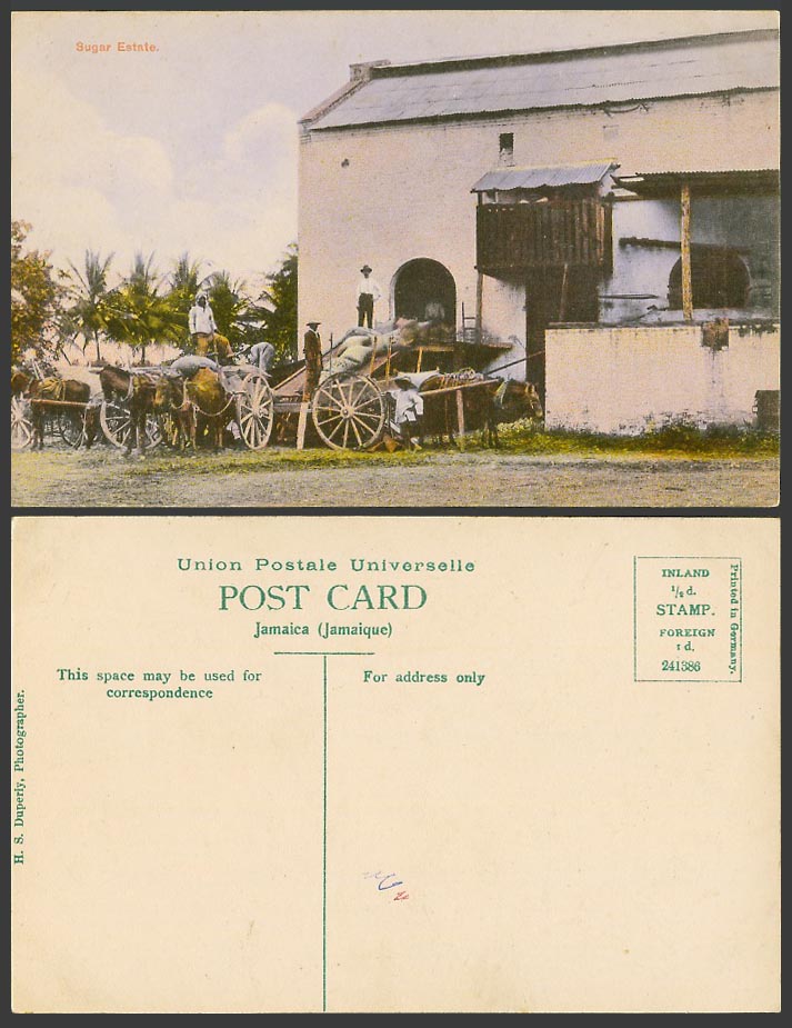 Jamaica Old Colour Postcard Sugar Estate -  Native Workers and Horses Horse Cart