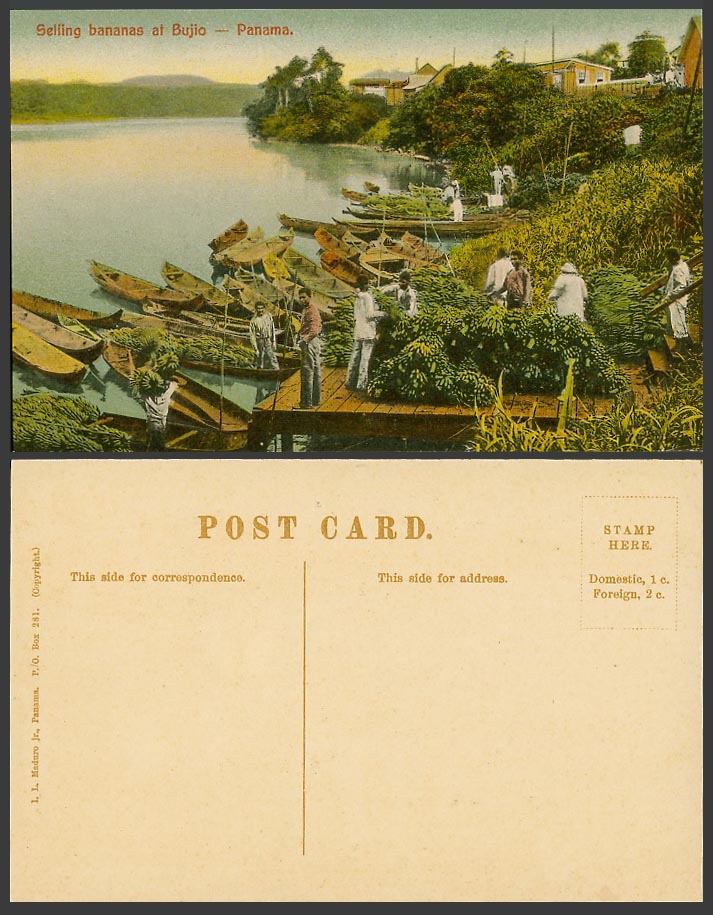 Panama Old Colour Postcard Natives Selling Bananas at Bujio, Native Boats Canoes