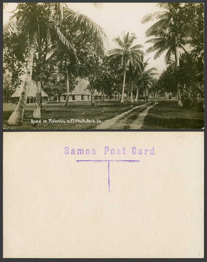 Samoa Old Real Photo Postcard Road in Mulinuu Mulinu'u, Native Houses Palm Trees