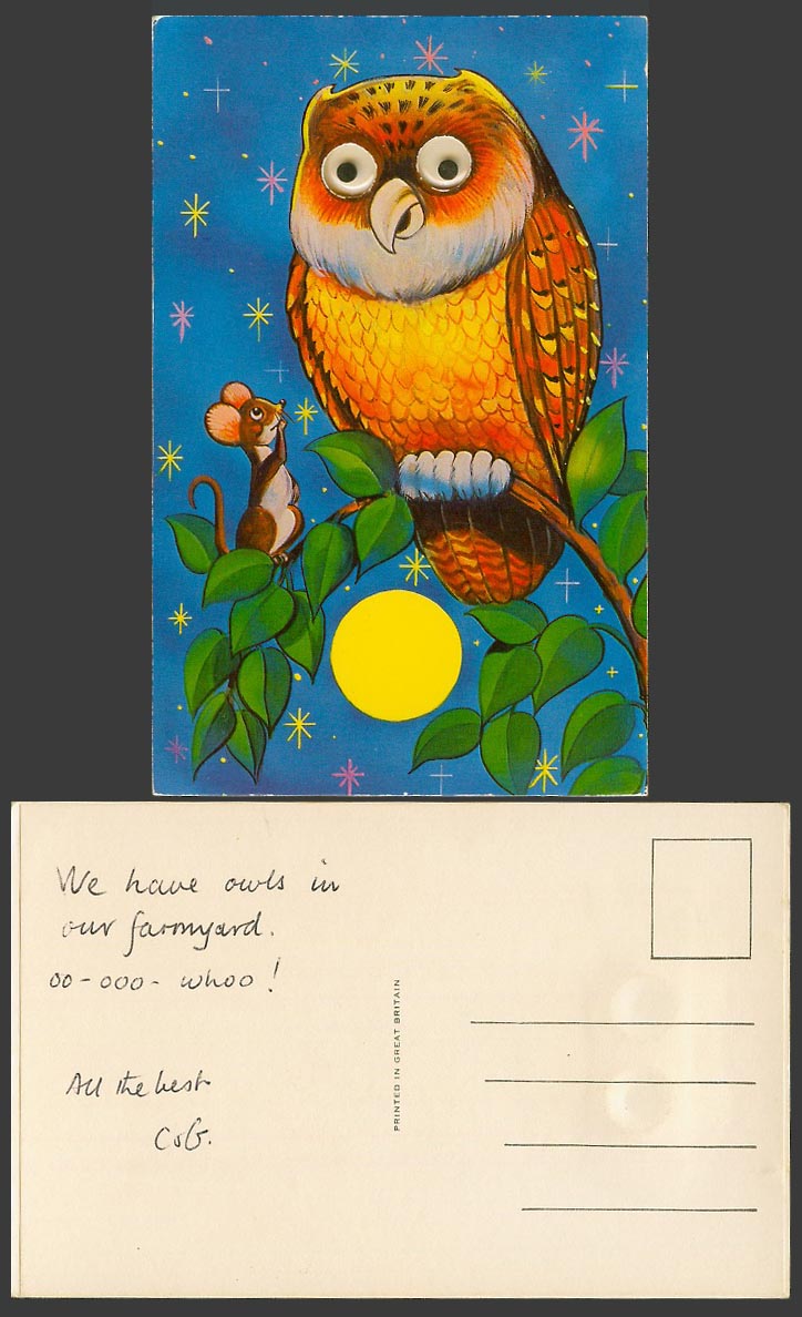 Owl Bird with Rolling Eyes Mouse Rat, Full Moon Stars Night Novelty Old Postcard