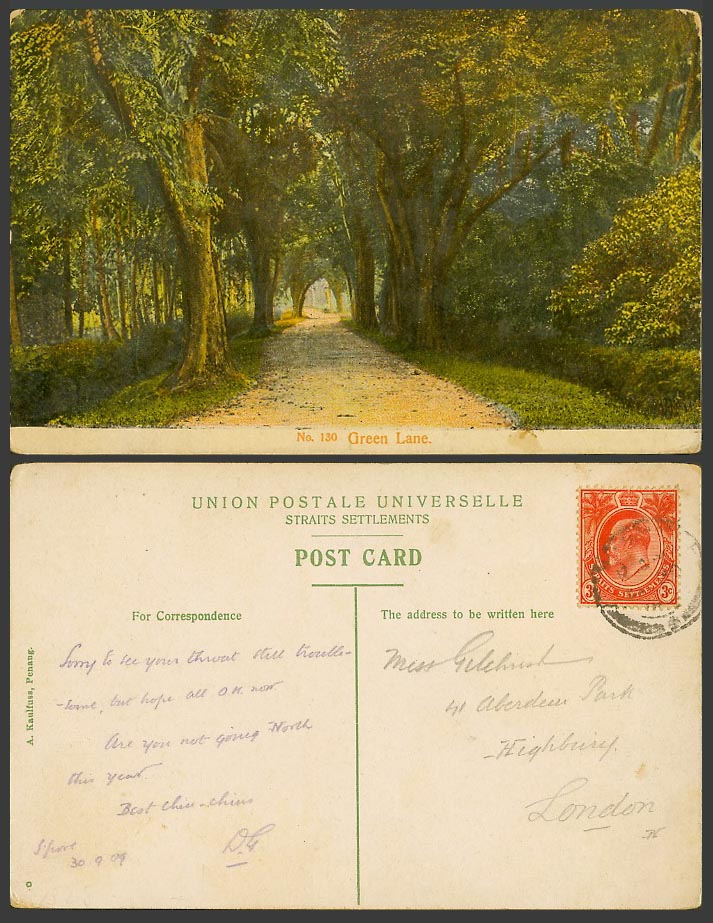 Penang Straits Settlements KE7 3c 1909 Old Postcard Green Lane Street Scene Tree