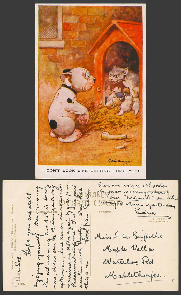 BONZO DOG GE Studdy Old Postcard I Don't Look Like Getting Home Yet Cat No. 1206