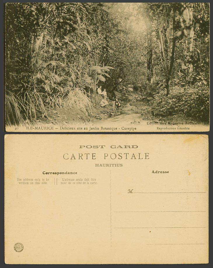 Mauritius Old Postcard Curepipe Delicieux site Jardin Botanique Botanical Garden