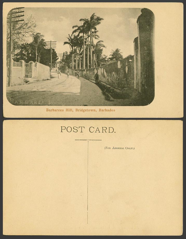 Barbados Old Postcard Barbarees Hill, Bridgetown, Street Scene Palm Trees B.W.I.