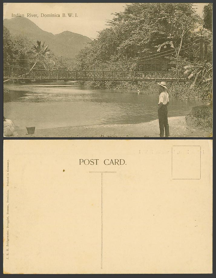 Dominica Old Postcard Indian River Scene, Bridge, Palm Trees British West Indies