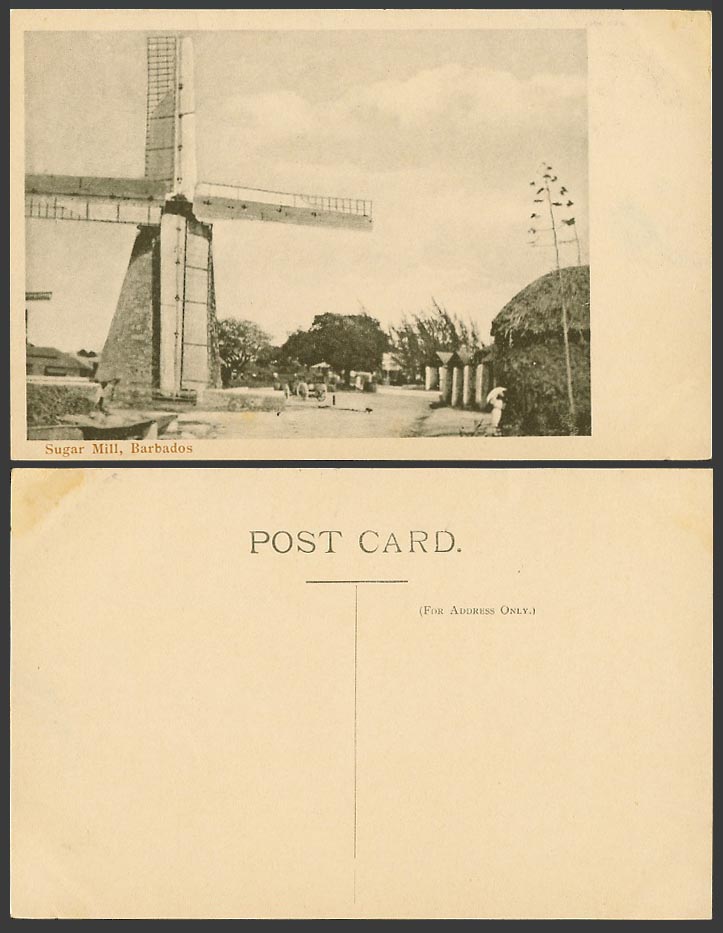 Barbados Old Postcard Sugar Mill, Windmill Wind Mill British West Indies. B.W.I.