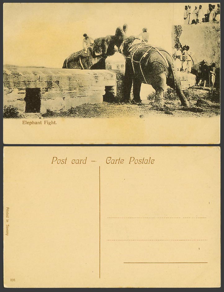 India Old Colour Postcard ELEPHANT FIGHT Native Riders on Elephants Fighting 191