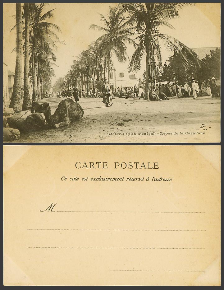 Senegal Old Postcard Saint Louis Repos de la Caravane Camel Caravan Street Scene