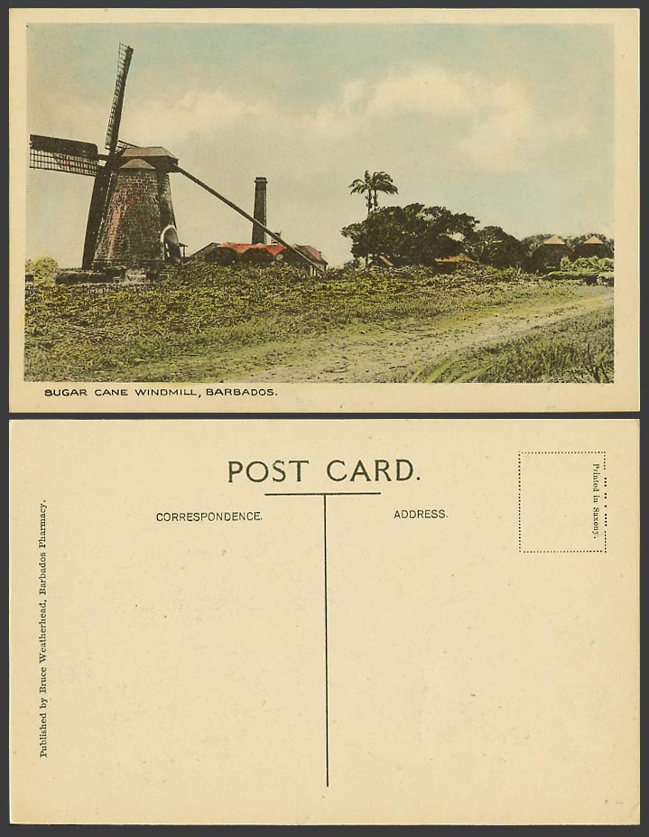 Barbados Old Colour Postcard Sugarcane Sugar Cane Windmill, Wind Mill B.W.I. BWI