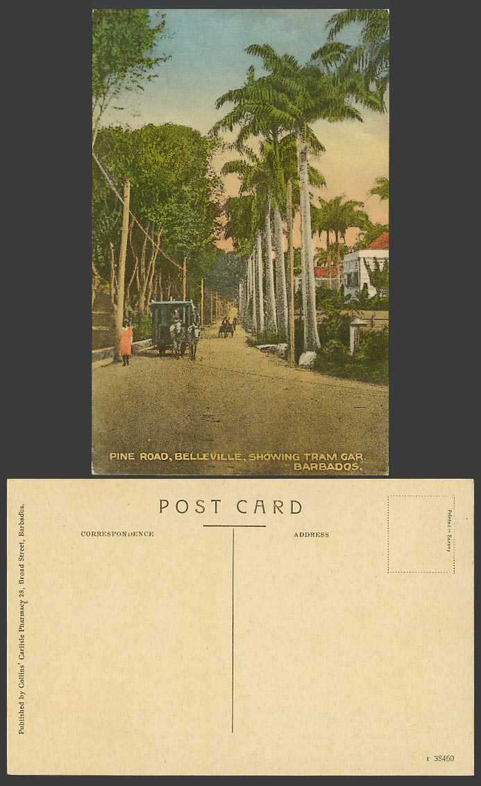 Barbados Old Postcard Pine Road Belleville show Tram Car Palm Trees Street Scene