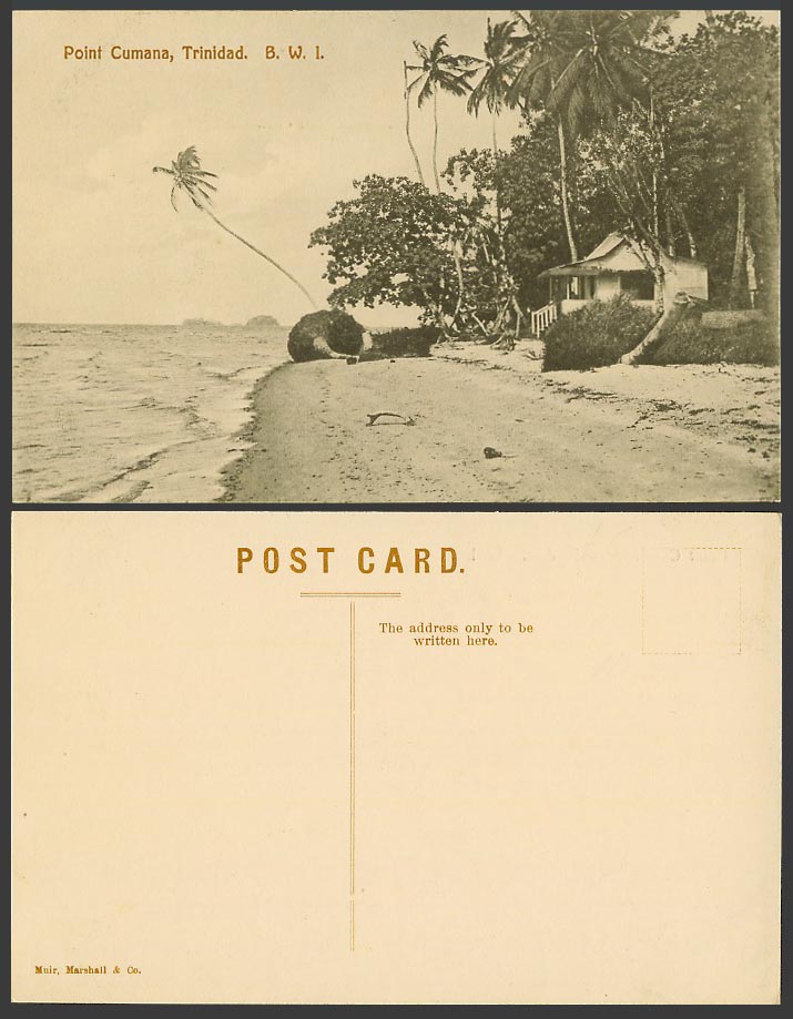 Trinidad B.W.I. Old Postcard Point Cumana, Beach, Palm Trees, Seaside Panorama