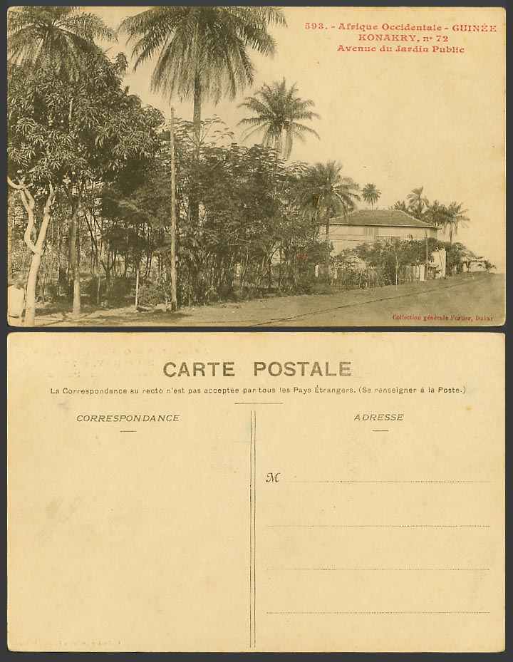 Guinea Guinee Konakry Conakry Old Postcard Avenue du Jardin Public Garden, Palms