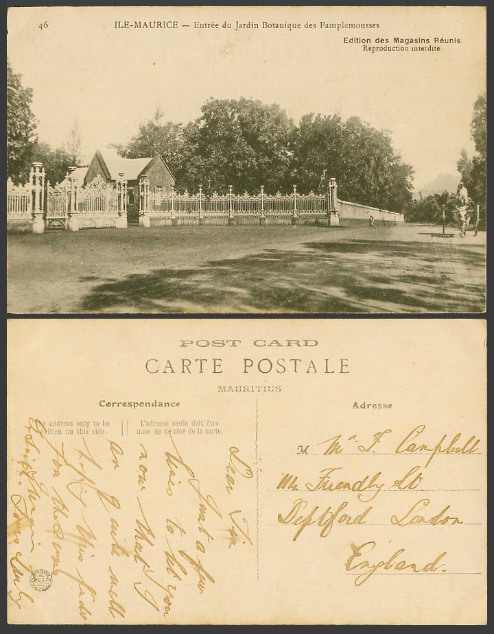 Mauritius Old Postcard Pamplemousses Botanic Botanical Garden Gdns Entrance Gate