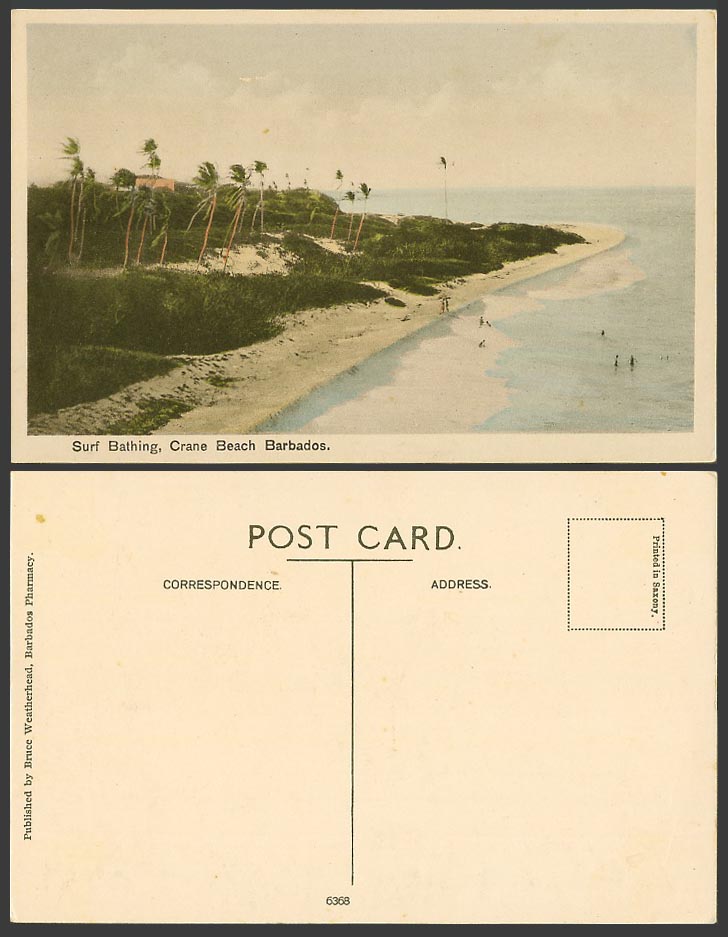 Barbados Old Hand Tinted Postcard Crane Hotel, Surf Bathing, Surfing Beach Palms