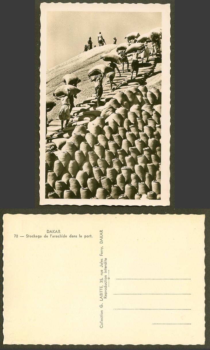 Senegal Old Postcard Dakar, Native Workers Carry Bags of Peanut Peanuts, Harbour
