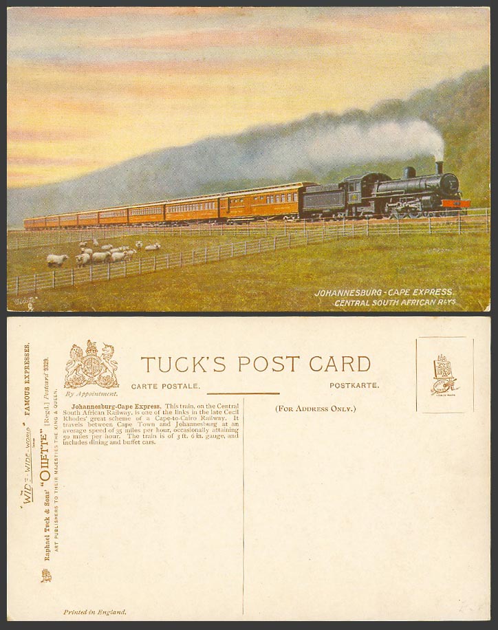 South Africa Old Tucks Postcard Johannesburg Cape Express Locomotive Train SHEEP