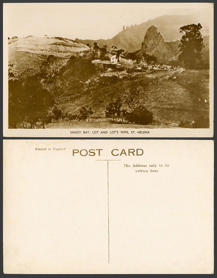 Saint St. Helena Old Real Photo Postcard Sandy Bay Lot and Lot's Wife Rocks Hill