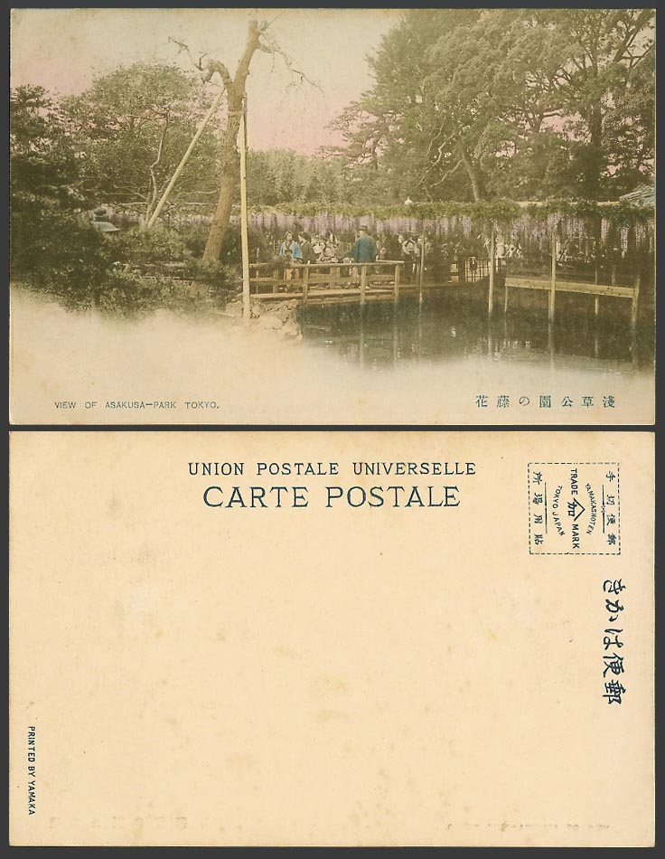 Japan Old Hand Tinted UB Postcard Asakusa Park Tokyo, Wisteria Flowers 東京淺草公園 藤花