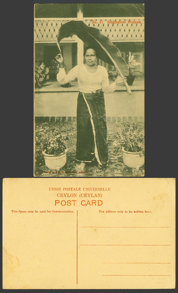 Ceylon Old Postcard Sinhalese Singhalese Woman A Large Leaf above Head, Costumes