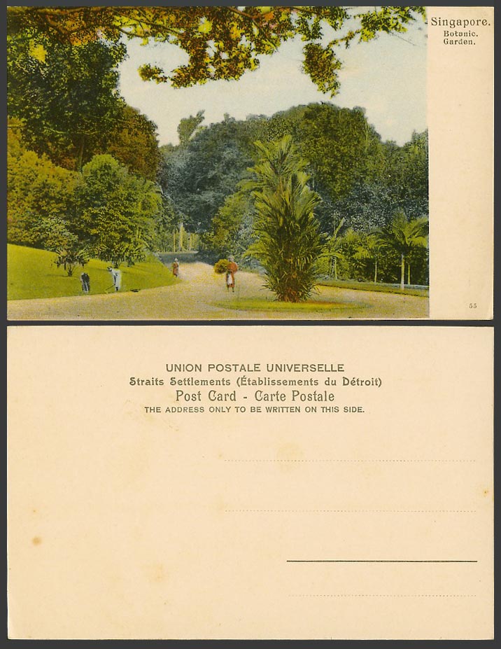 Singapore Old Colour Postcard Botanical Garden Botanic Gardens, Gardeners No. 55