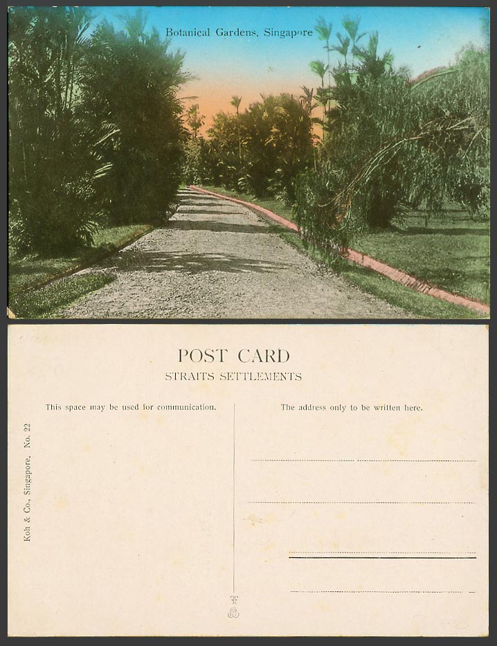Singapore Old Colour Postcard Botanical Garden Botanic Gardens, Road Path No. 22