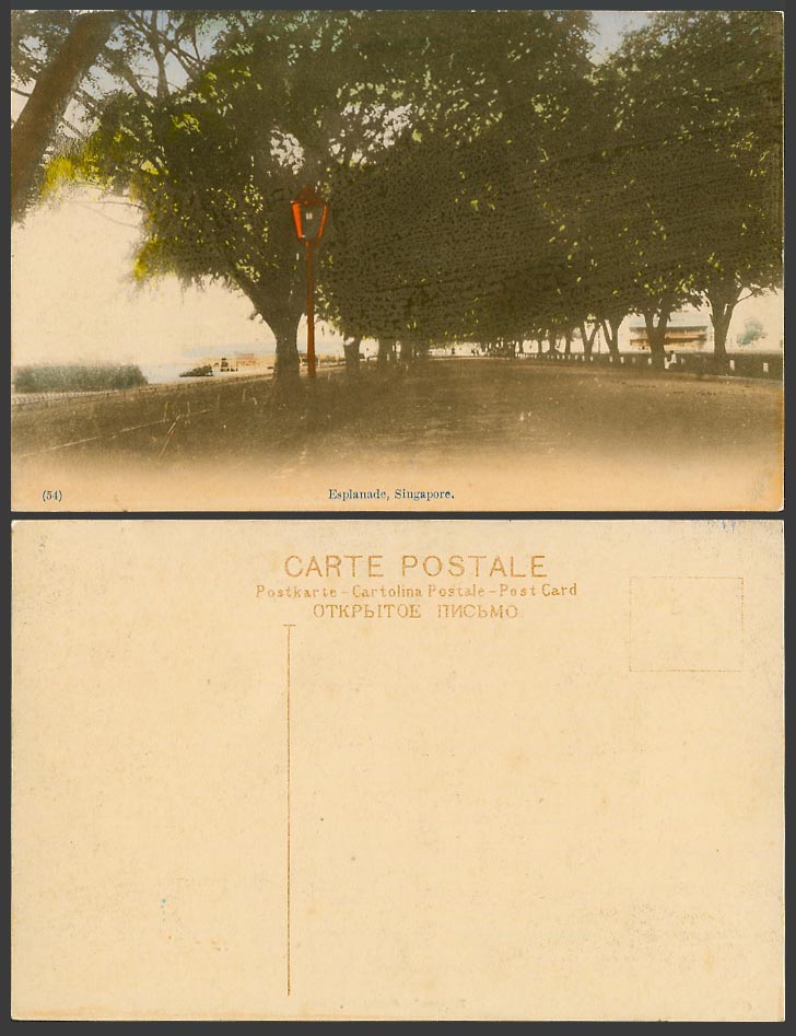 Singapore Old Hand Tinted Postcard Esplanade Tree-Lined Malay Street Scene No.54