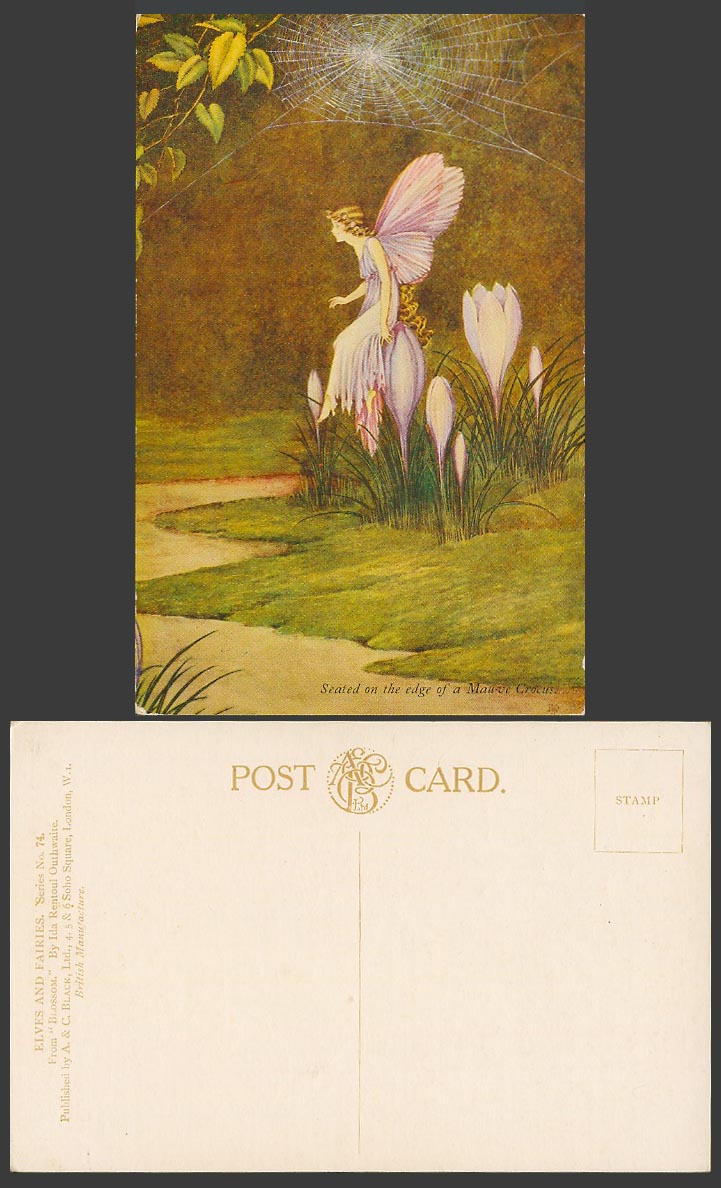 Ida R Outhwaite Old Postcard Fairy Girl Seated on Edge of Mauve Crocus Spiderweb