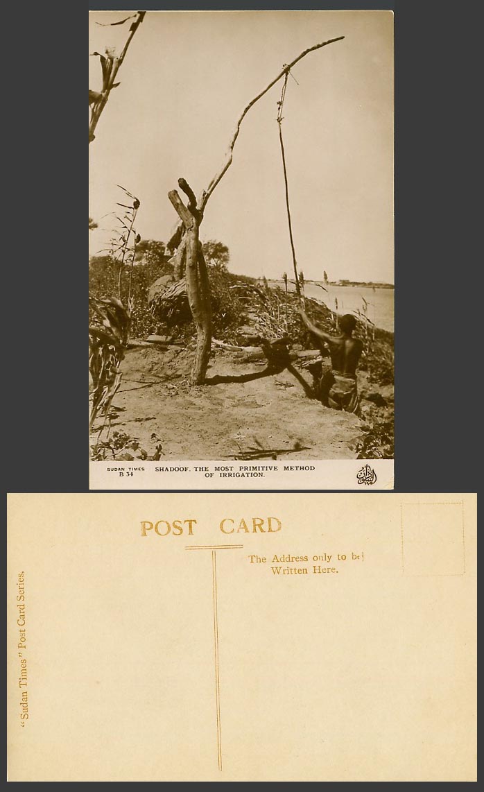 Sudan Old Real Photo Postcard Shadoof - The Most Primitive Method of Irrigation