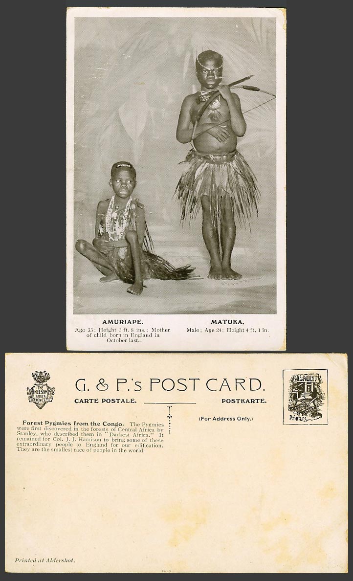 Congo Old Postcard Forest Pygmies Pygmy Amuriape Matuka Bow Arrow, Smallest Race