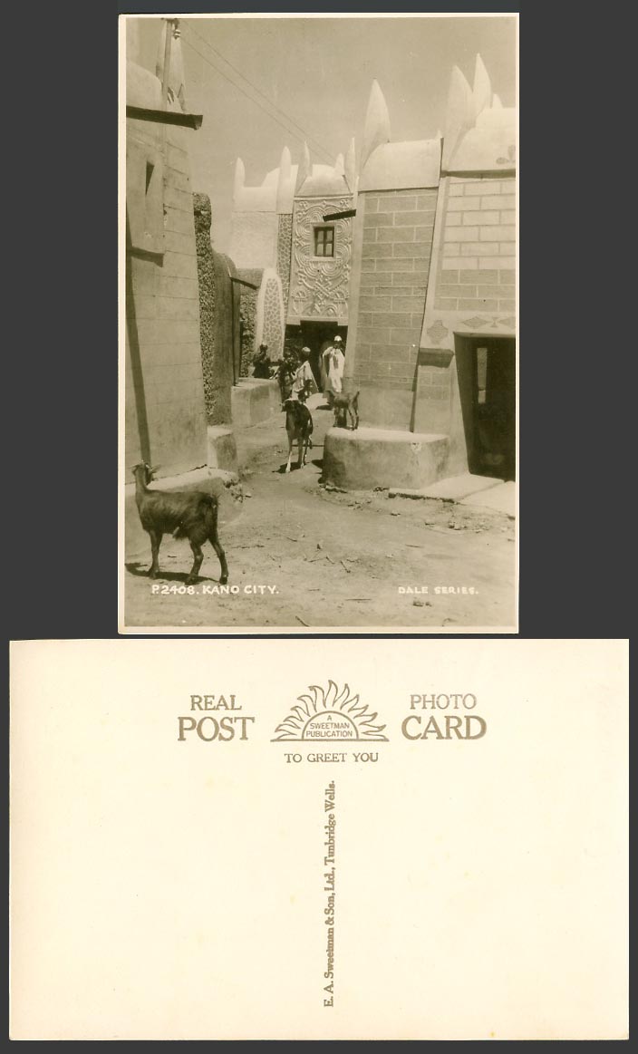 Nigeria Old Real Photo Postcard Kano City Street Scene, Native Houses, Goats Cub